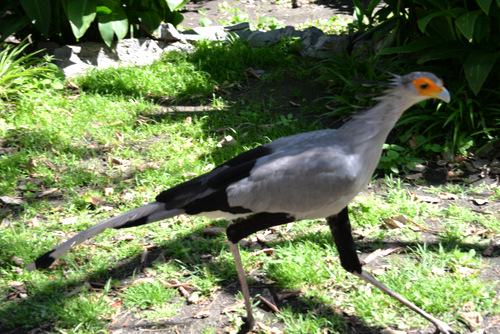 World of Birds Wildlife Sanctuary.